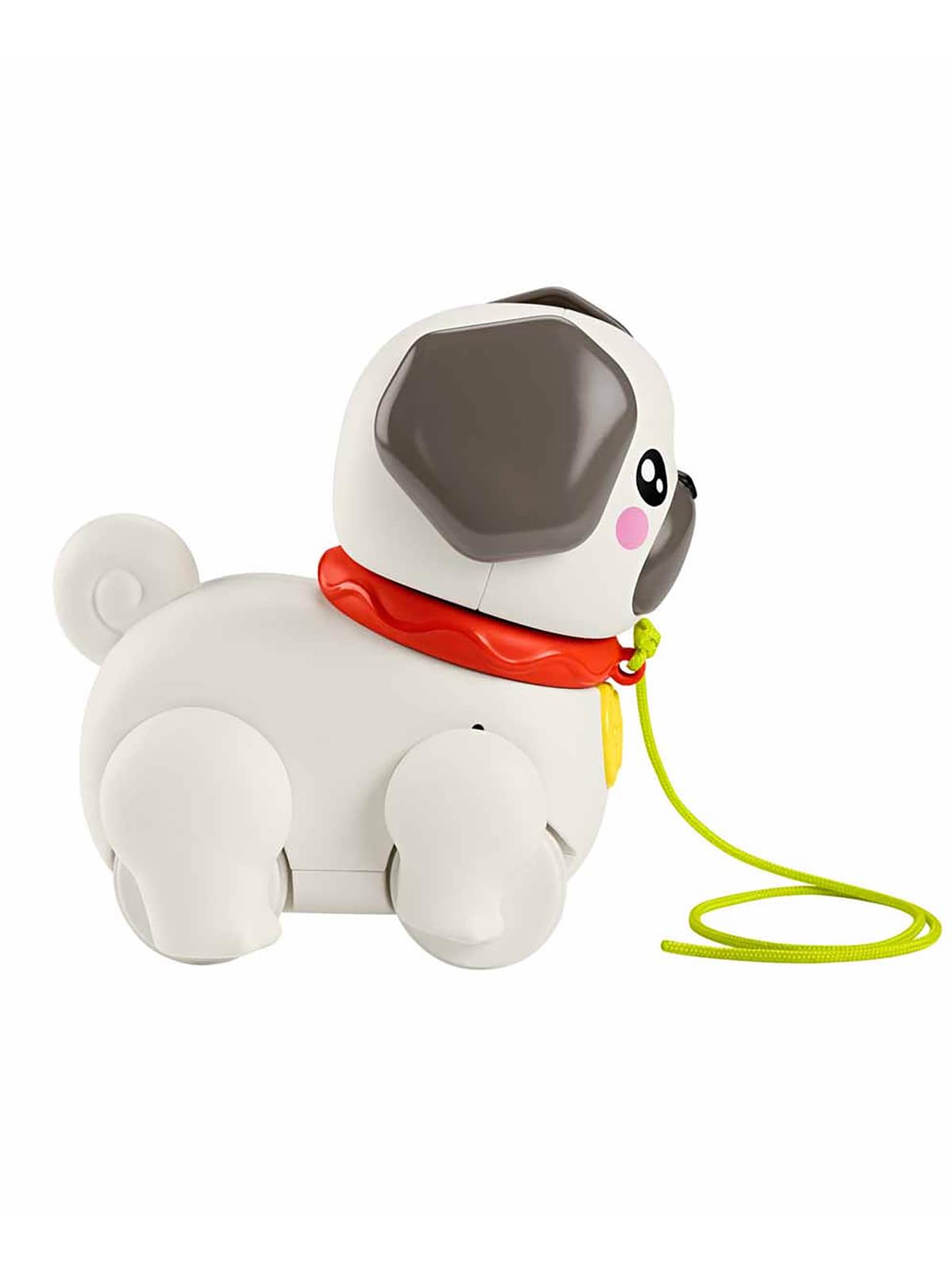 Fisher Price Minik Dostumla Yürüyüş