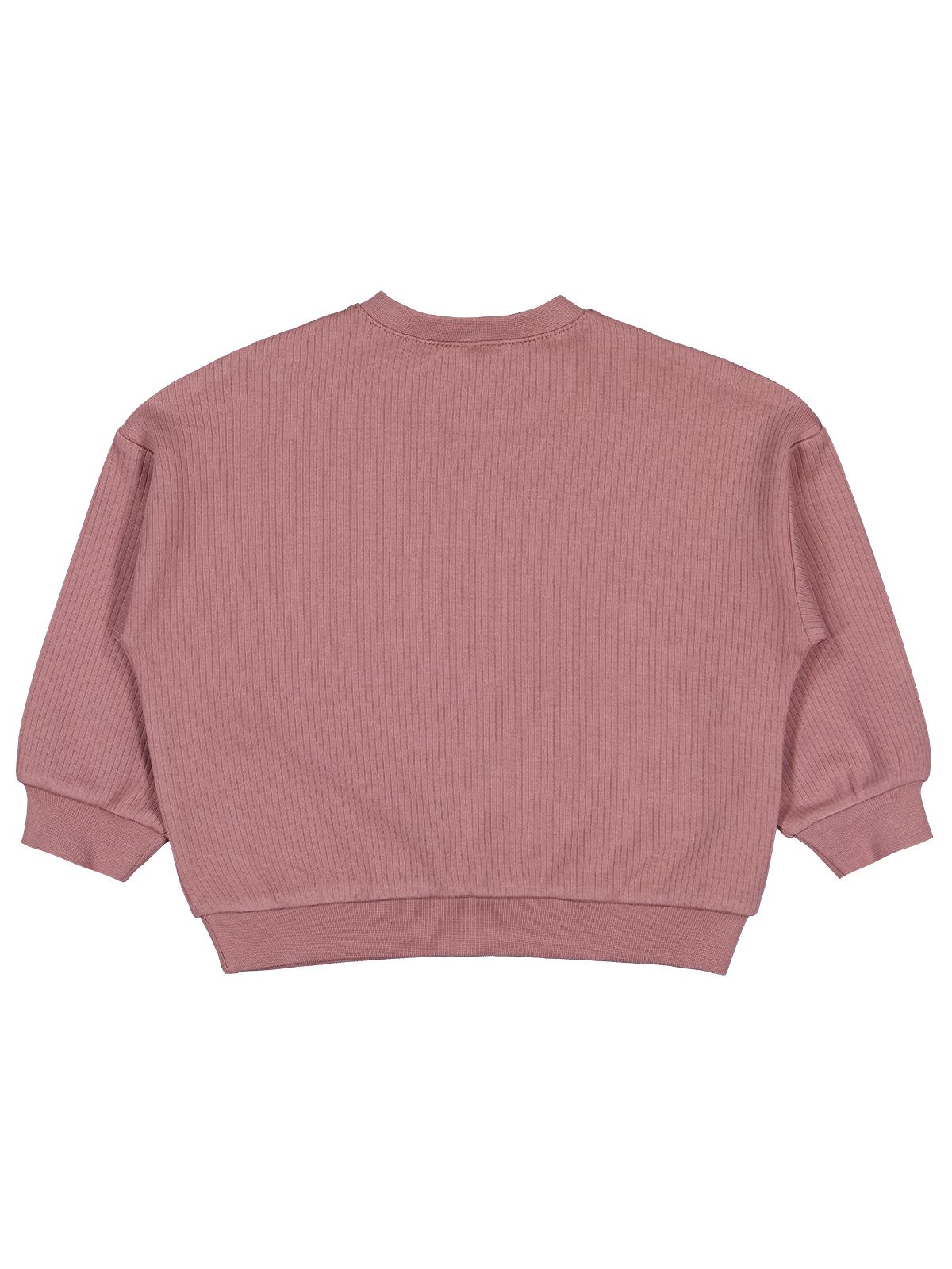 Civil Baby Roarrr Dinozor Nakışlı 6-18 Ay Sweatshirt - Kahve