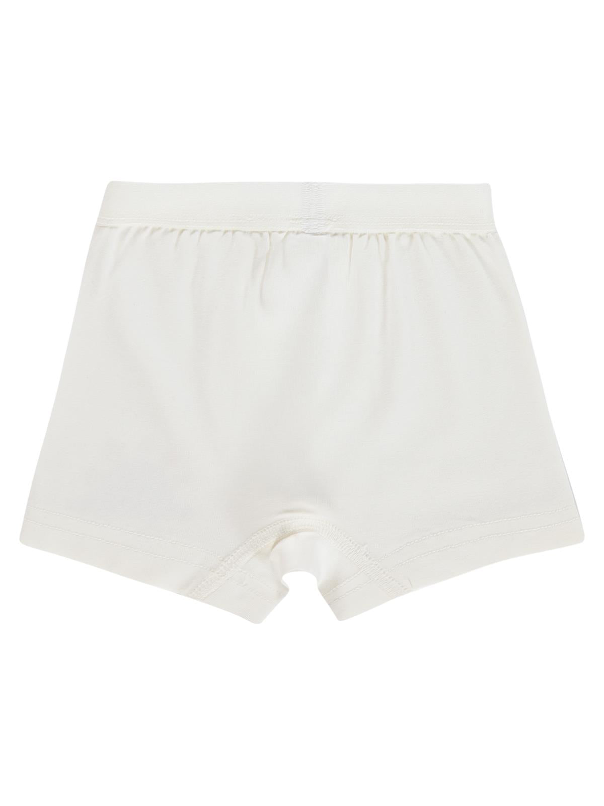 Civil Baby Mini Dino 9-18 Ay Bebek Erkek Boxer