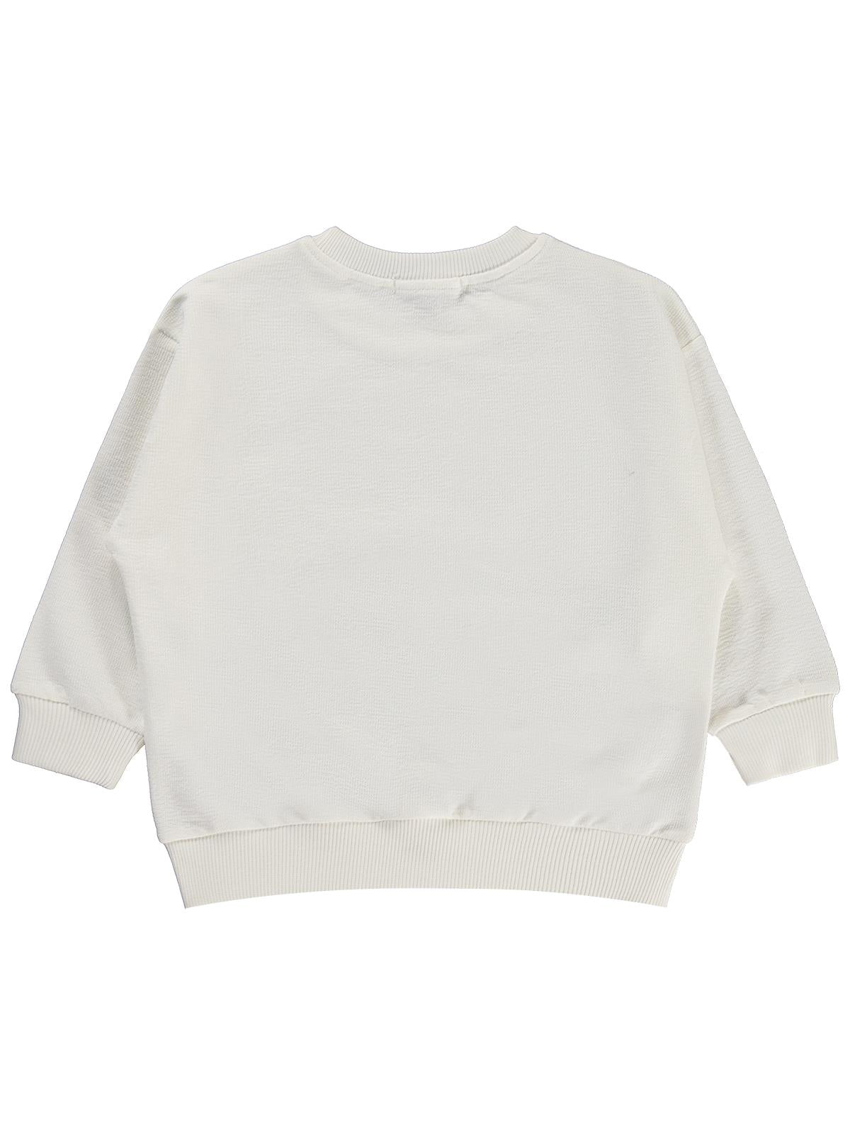 Civil Erkek Çocuk Hayvanlar Baskılı Sweatshirt | Jakarlı Süprem | Okul Kreş ve Günlük Kullanım - Ekru