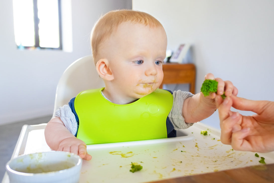 Bebek Maması ile Ek Gıdaya Geçiş: Sağlıklı Bir Başlangıç