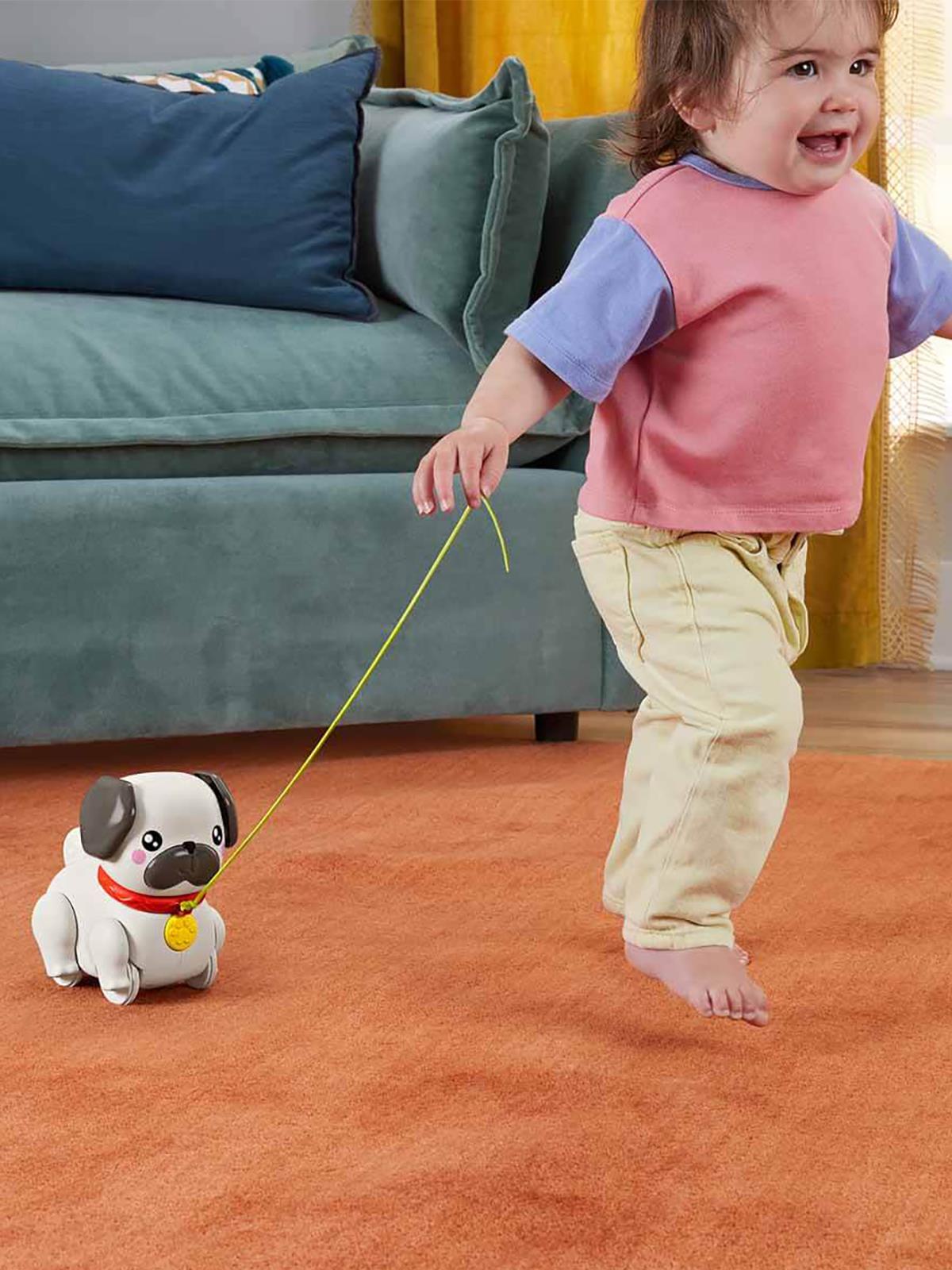 Fisher Price Minik Dostumla Yürüyüş