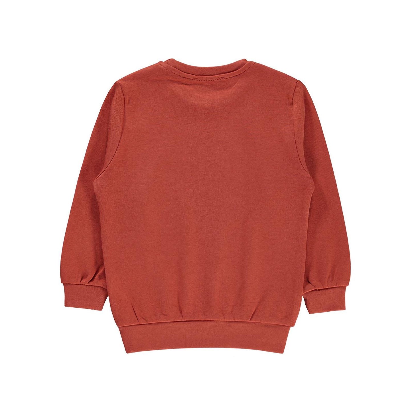 Civil Boys Köpek Baskılı 2-5 Yaş Sweatshirt - Hardal
