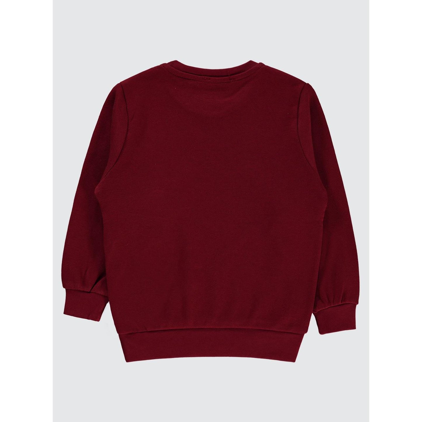 Civil Boys Köpek Baskılı 2-5 Yaş Sweatshirt - Hardal