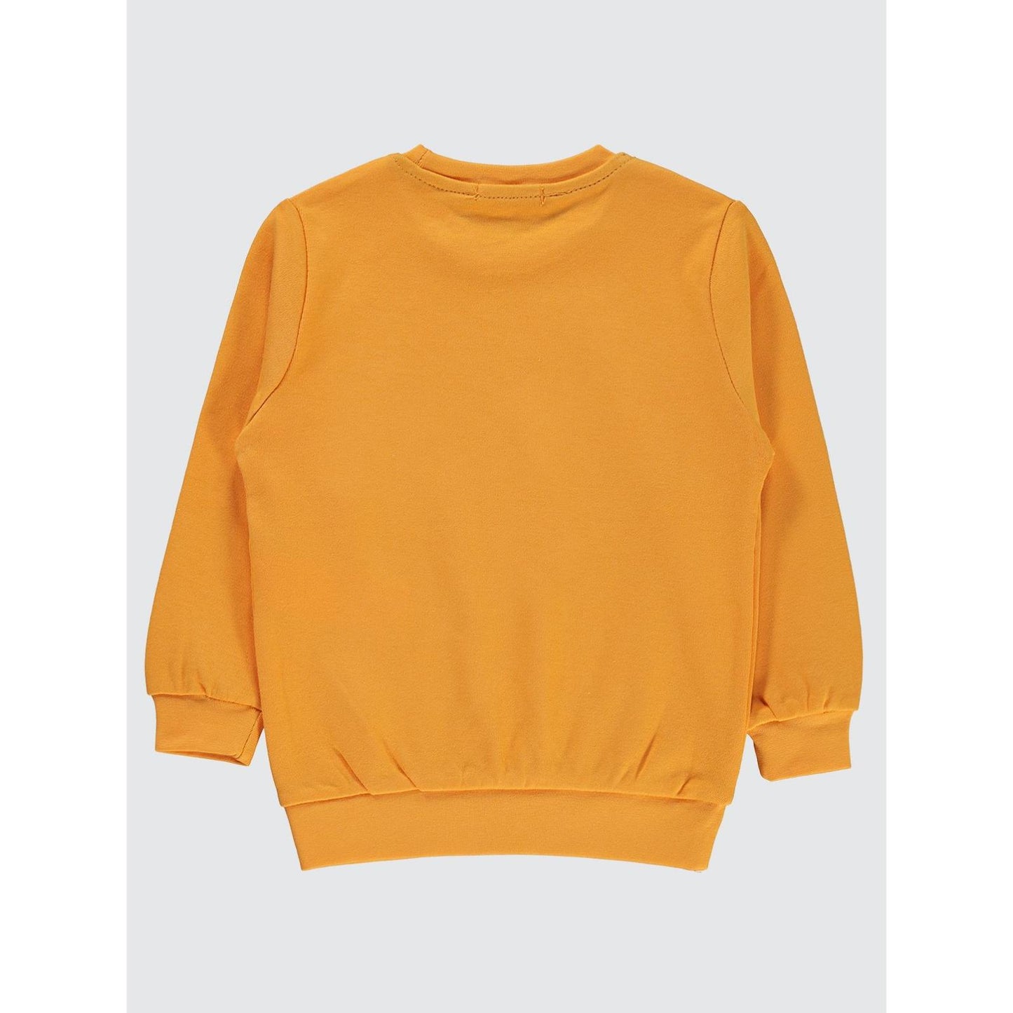 Civil Boys Köpek Baskılı 2-5 Yaş Sweatshirt - Hardal