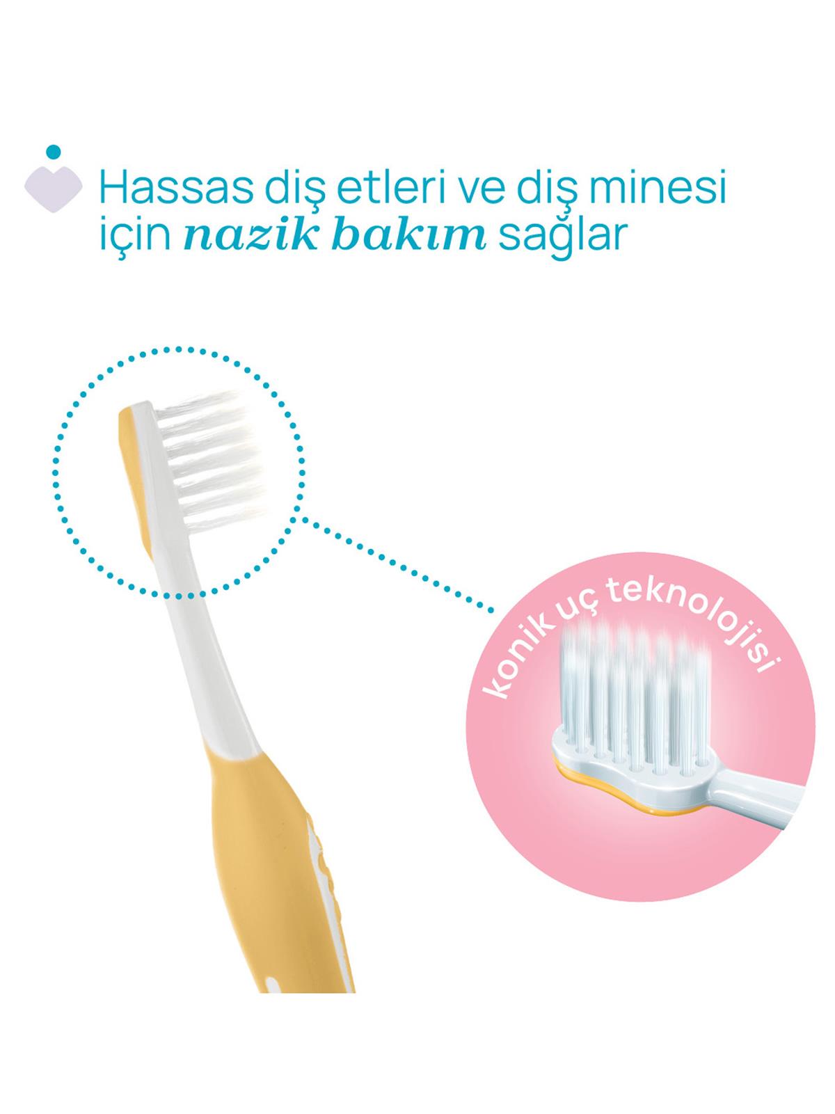 Chicco 2'Li Diş Fırçası 6-36 Ay - Lila
