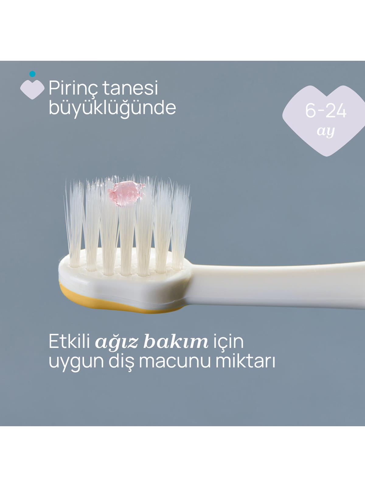 Chicco 2'Li Diş Fırçası 6-36 Ay - Lila