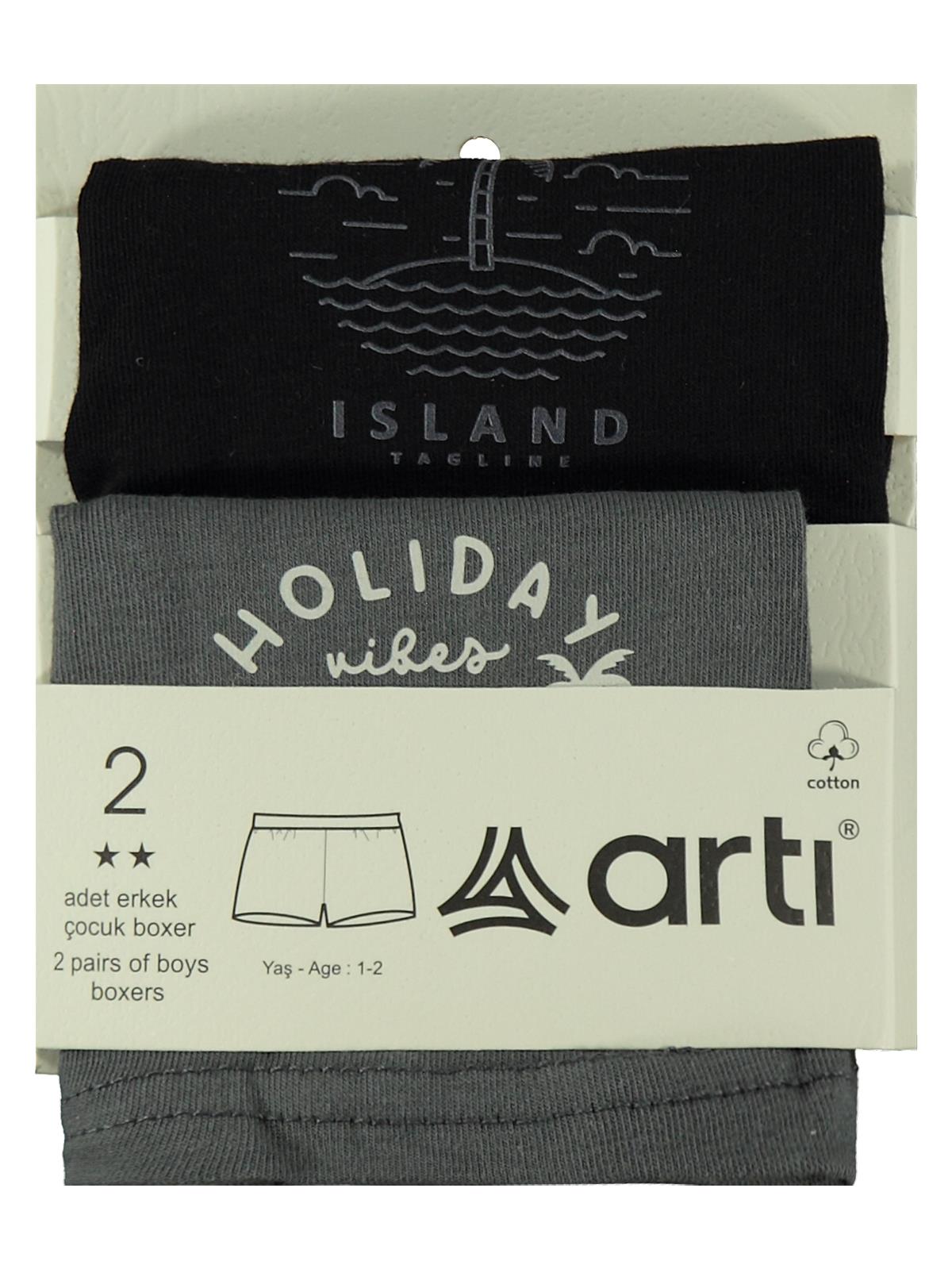 Artı Çorap Island Erkek 2'li Boxer Set