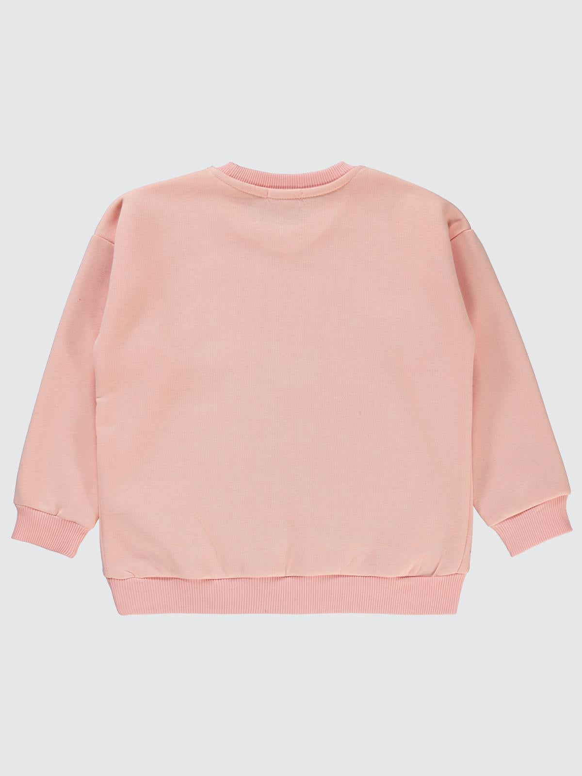 Civil Girls Pullu Baykuş Baskılı 10-13 Yaş Sweatshirt - Pudra