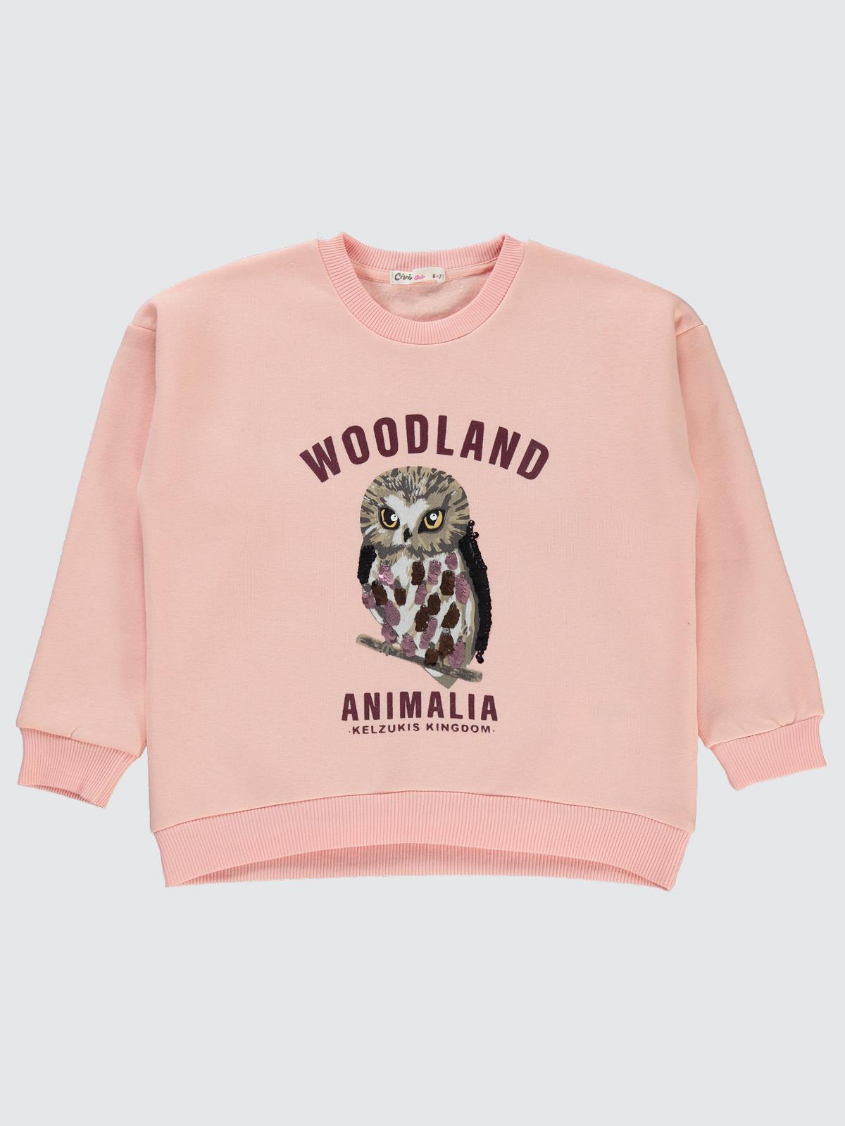 Civil Girls Pullu Baykuş Baskılı 6-9 Yaş Sweatshirt - Pudra