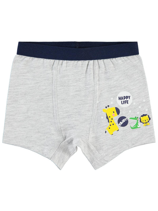 Civil Baby Erkek Bebek Boxer 9-18 Ay