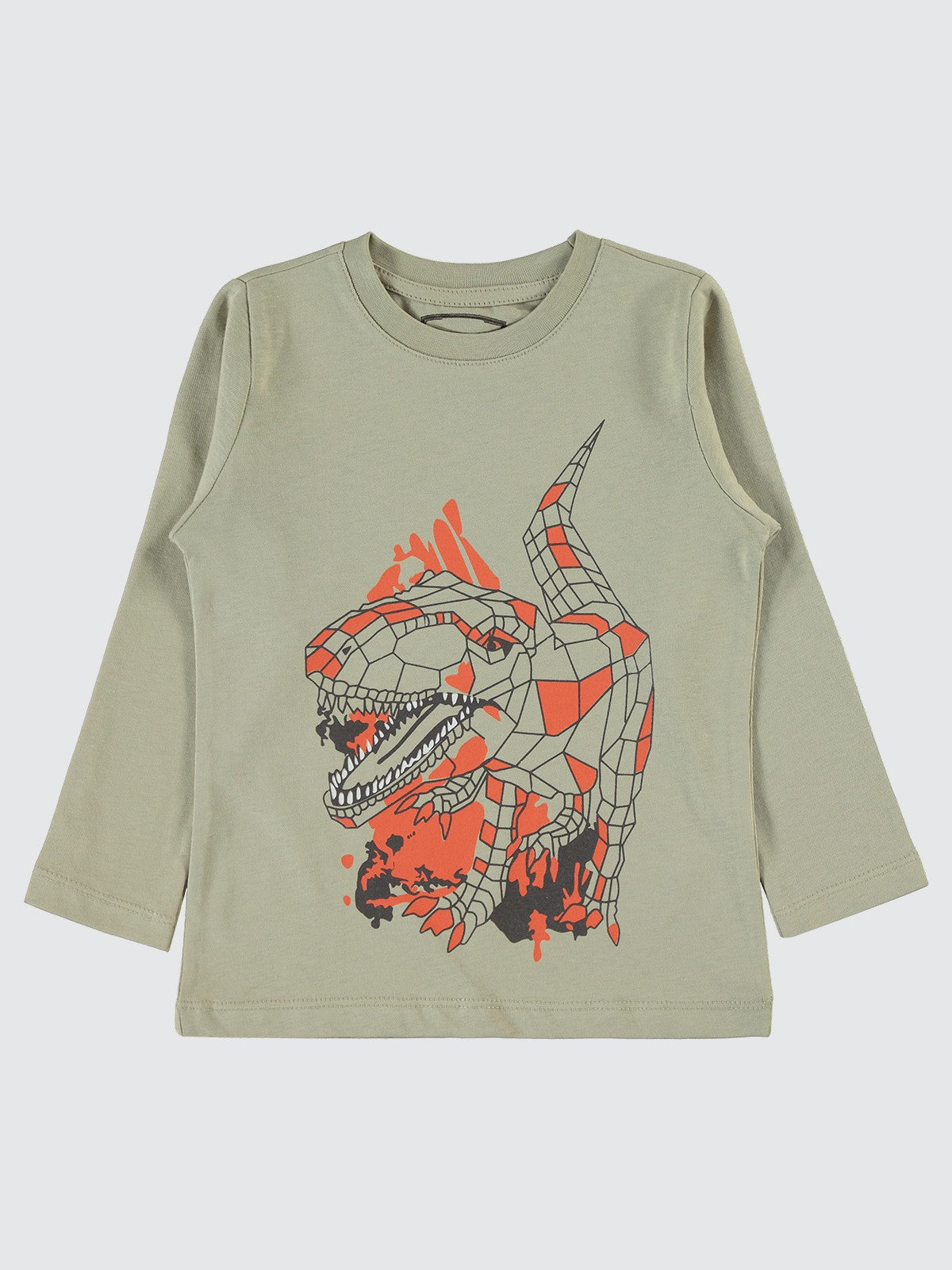 Civil Boys Geometrik Dino Baskılı 2-5 Yaş Sweatshirt - Gri