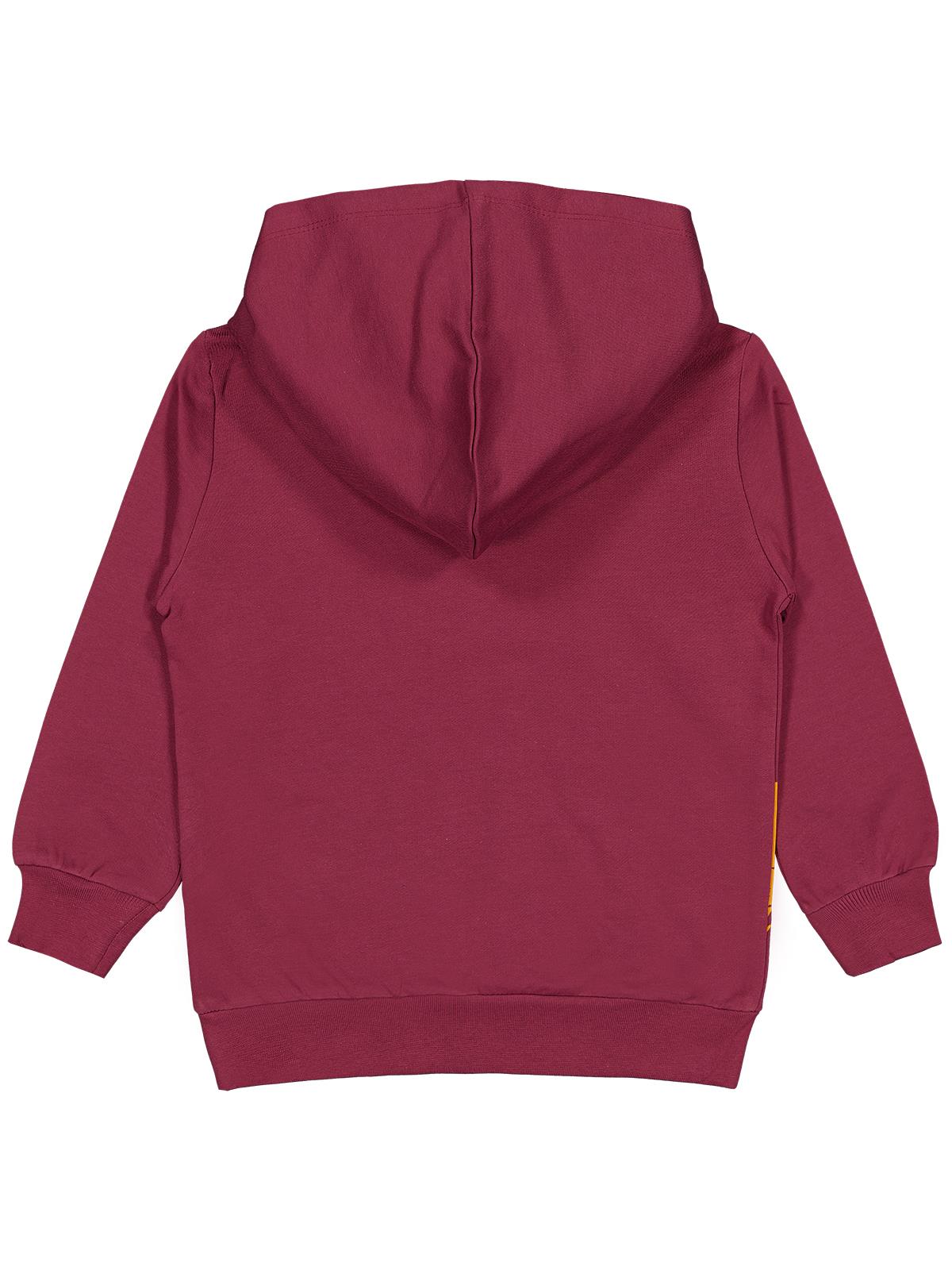 Civil Boys Erkek Çocuk Cool Star Baskılı 2-5 Yaş Sweatshirt - Bordo