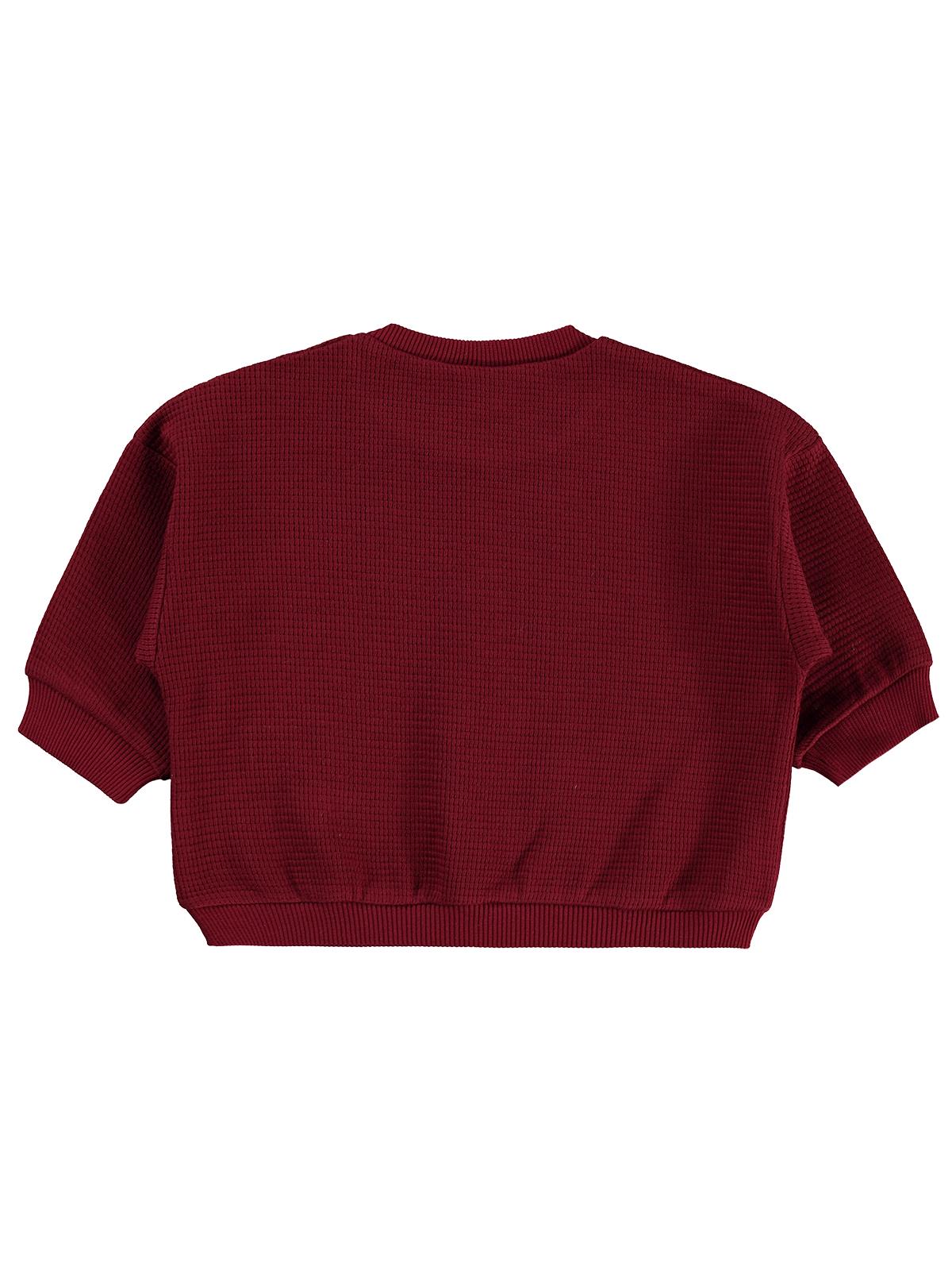Civil Baby Athletic Baskılı Nakışlı 6-18 Ay Sweatshirt - Bordo