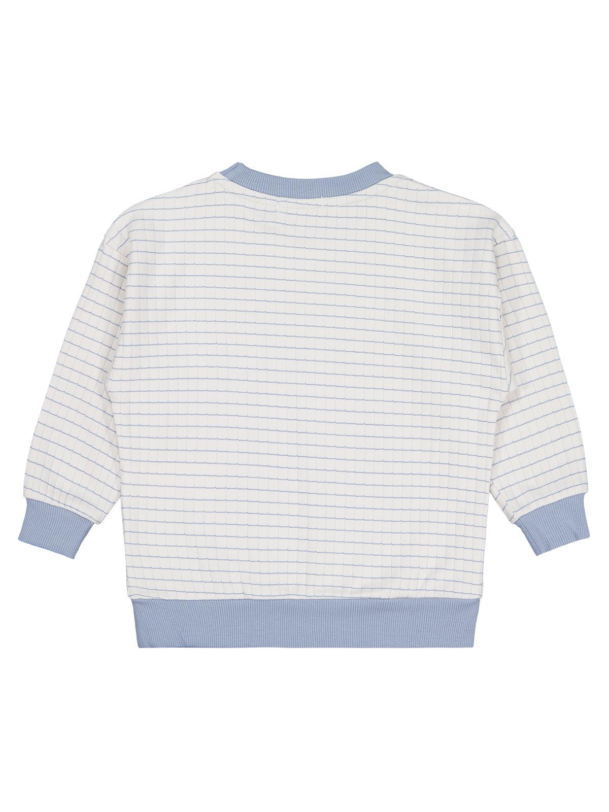 Civil Boys Aslan Nakışlı 2-5 Yaş Sweatshirt - Mavi