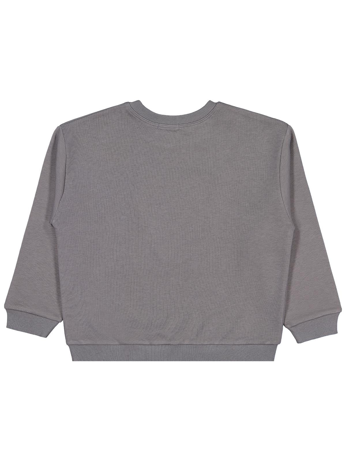 Civil Erkek Çocuk Aslan Nakışlı Sweatshirt | 3 İp Uzun Kol | Okul Kreş ve Günlük Kullanım - Gri