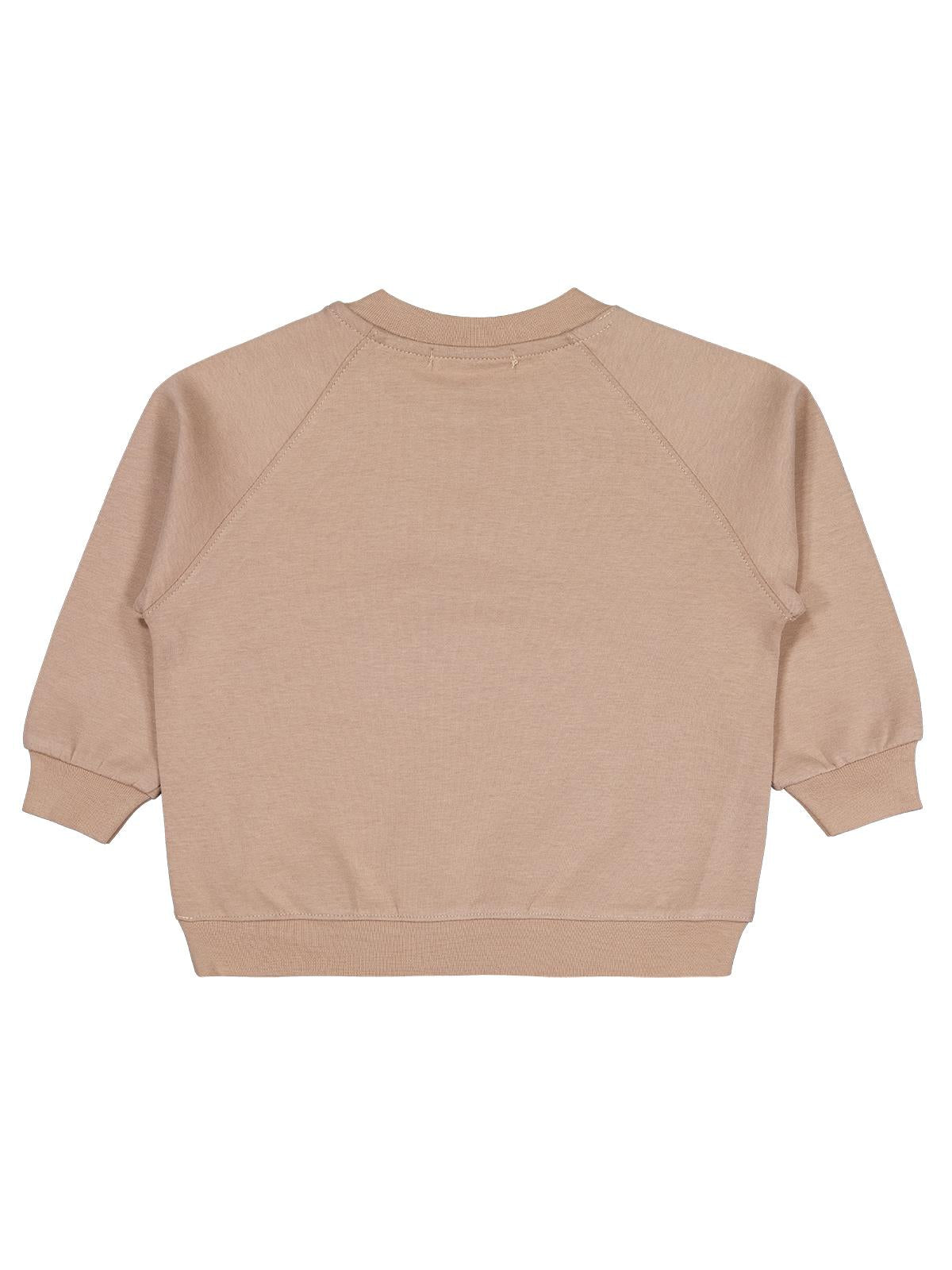 Pierre Cardin Armalı 2-5 Yaş Sweatshirt - Mavi