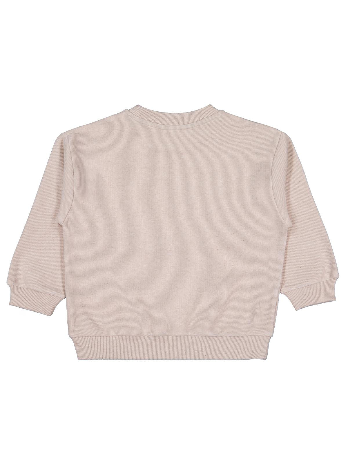Civil Boys Erkek Çocuk Basic Selanik Sweatshirt | Selanik Uzun Kol | Okul Kreş ve Günlük Kullanım - Bej