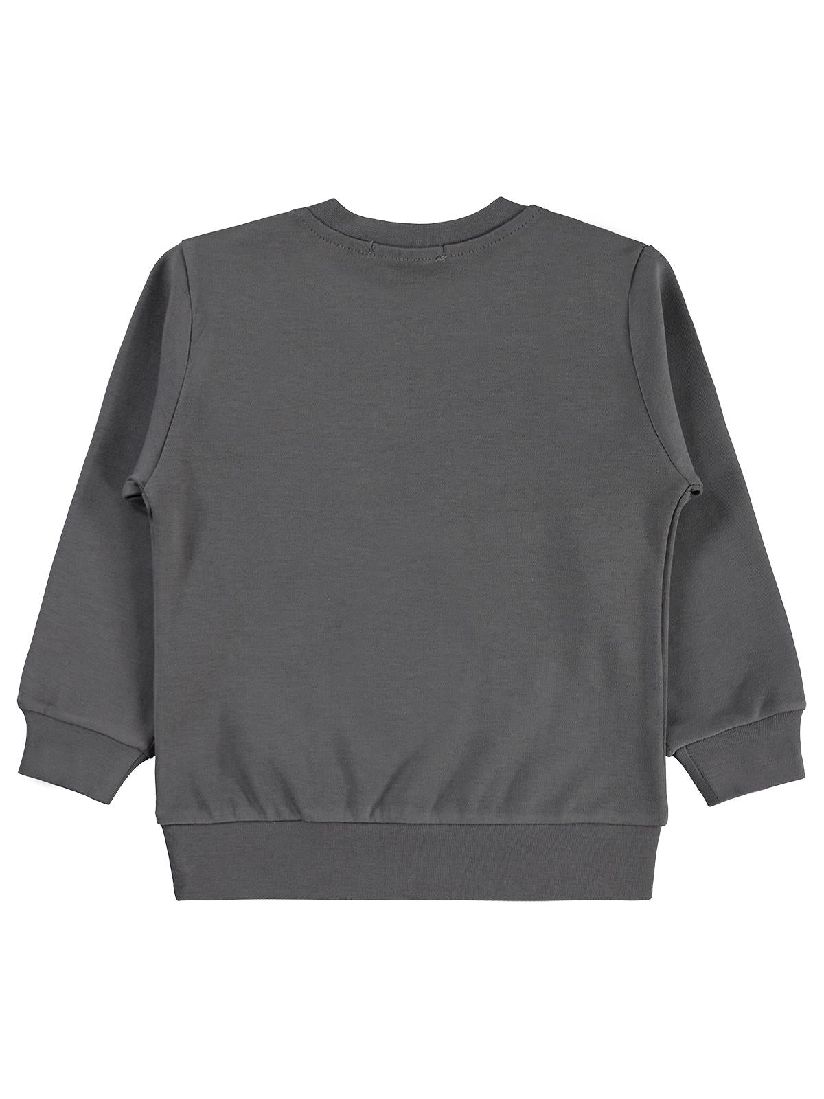 Civil Boys Trex Club Baskılı 2-5 Yaş Sweatshirt Km - Gri