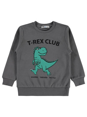 Civil Boys Trex Club Baskılı 2-5 Yaş Sweatshirt Km - Gri