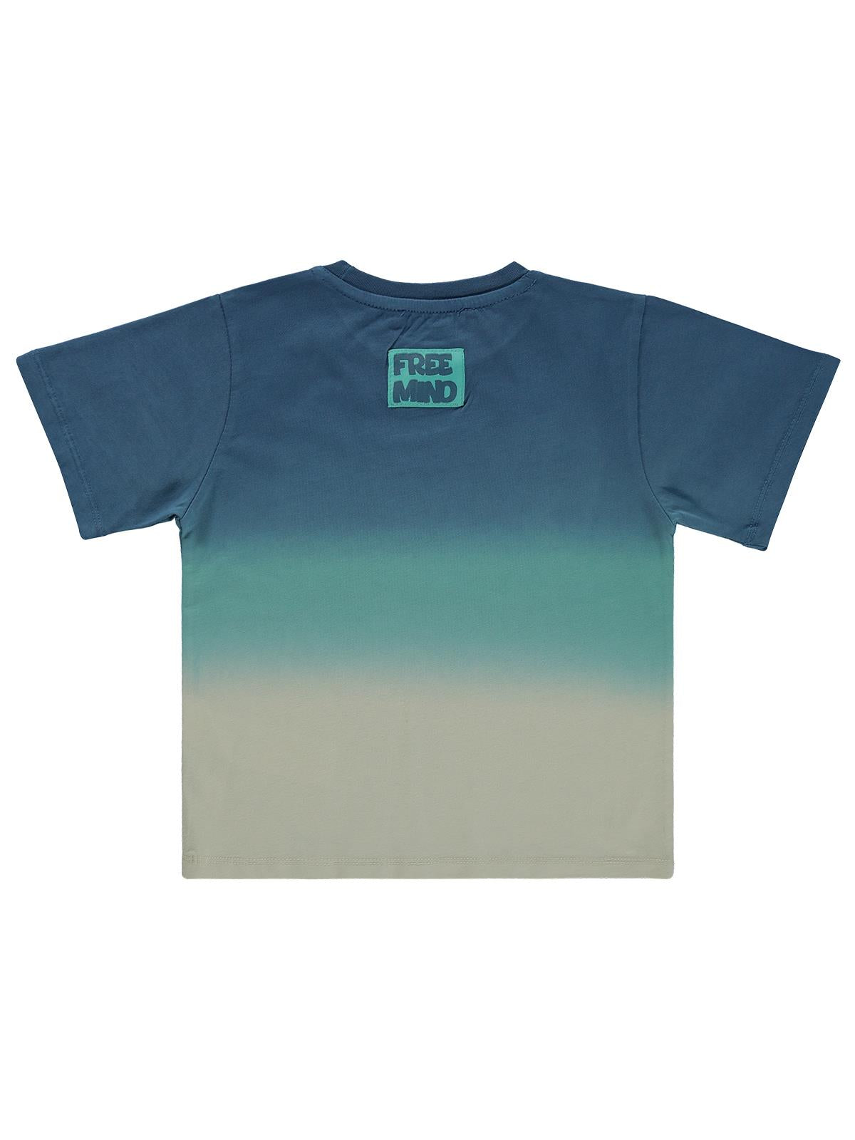 Civil Boys Batik Renk Geçişli 2-5 Yaş Tişört - Yeşil