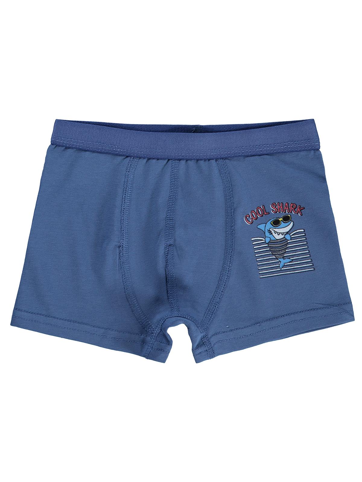 Civil Boys Shark 2-10 Yaş Erkek Çocuk 2'li Boxer