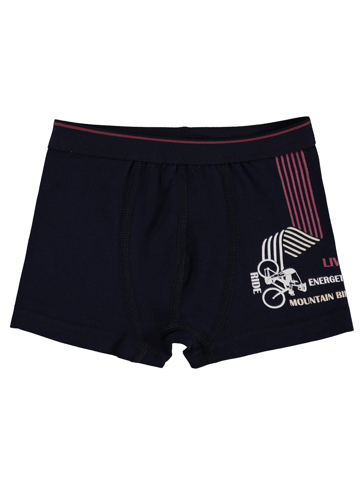 Civil Boys Bike 2-10 Yaş Erkek Çocuk 2'li Boxer
