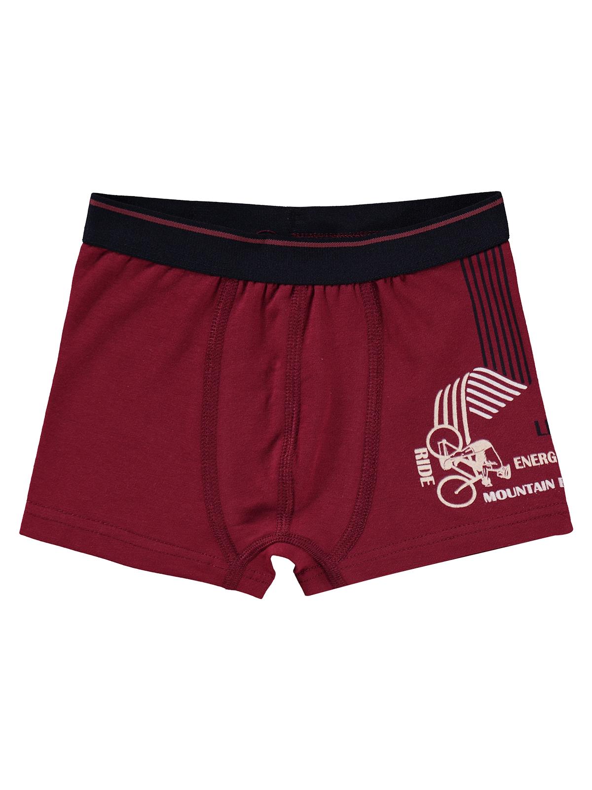 Civil Boys Bike 2-10 Yaş Erkek Çocuk 2'li Boxer