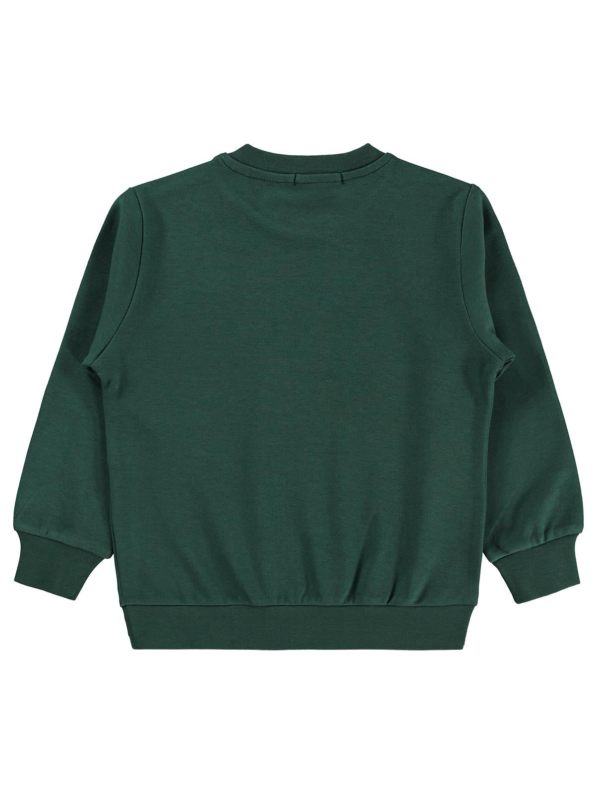 Civil Boys Awesome Aslan Baskılı 2-5 Yaş Sweatshirt Km - Yeşil