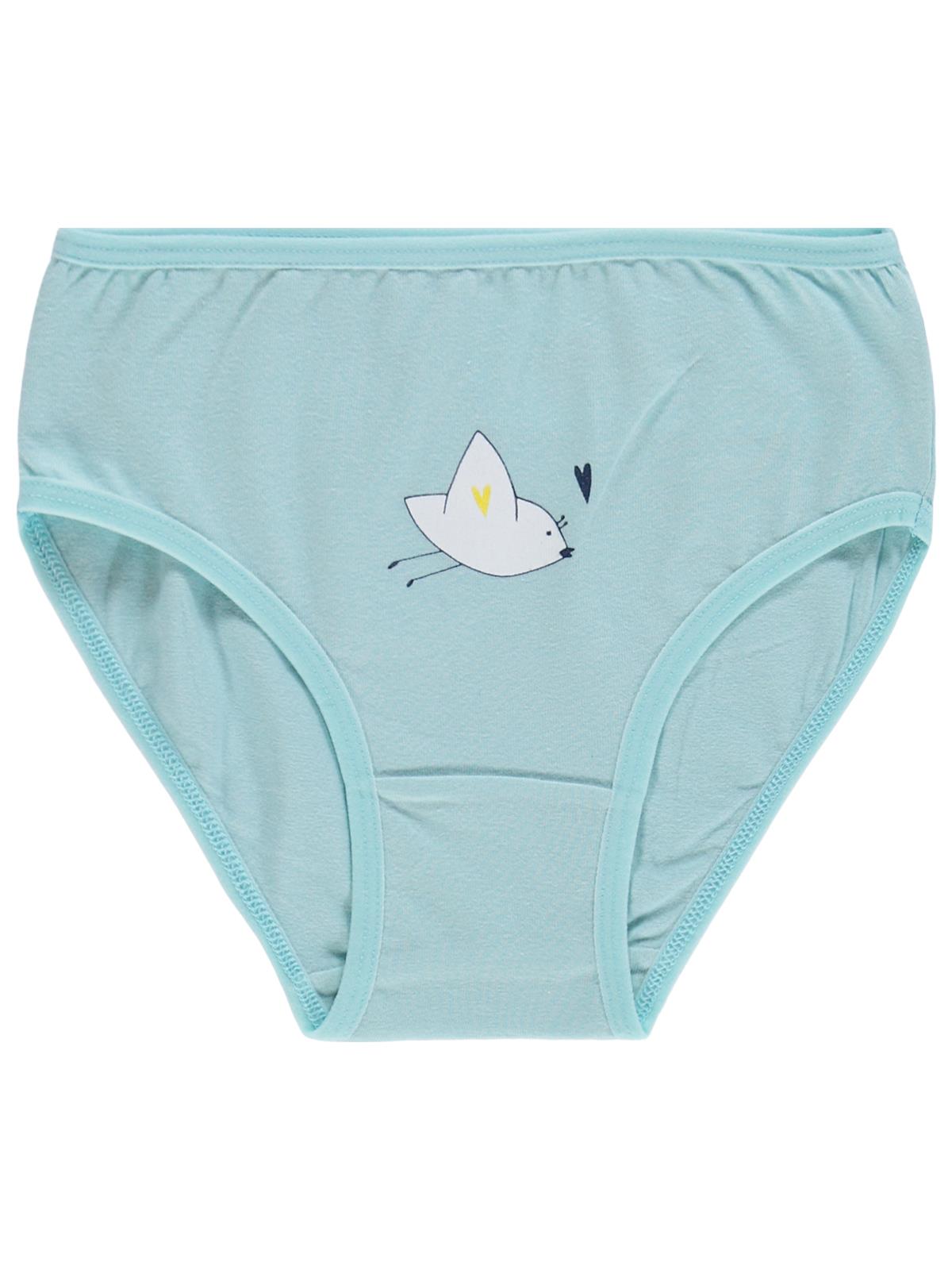 Civil Girls Kız Çocuk Cute Bird 2-12 Yaş 2'li Külot