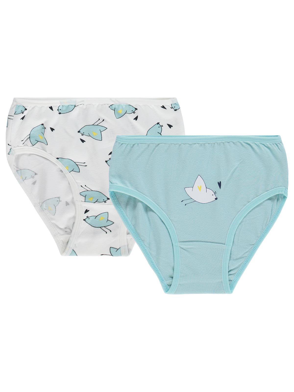 Civil Girls Kız Çocuk Cute Bird 2-12 Yaş 2'li Külot