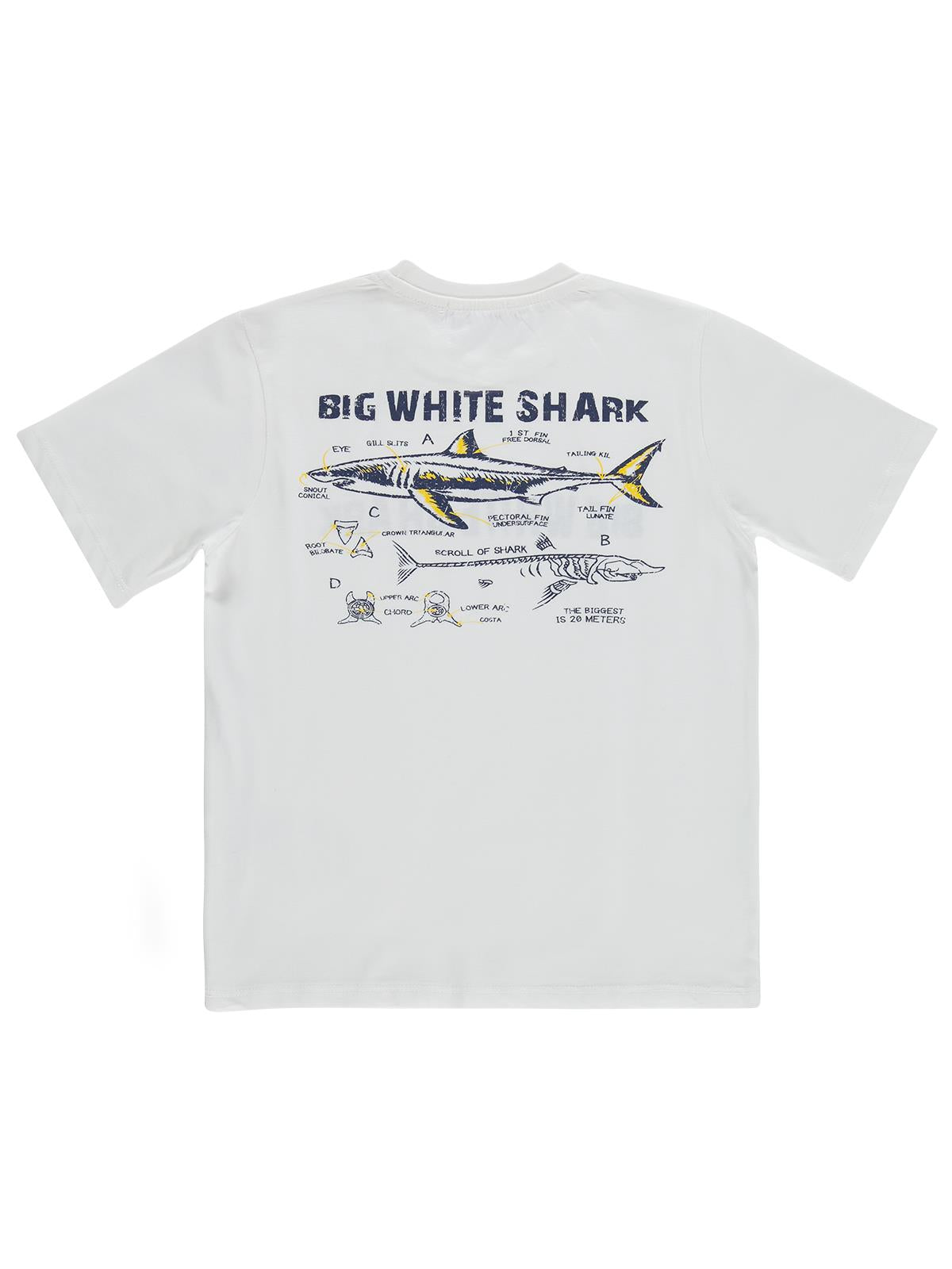 Civil Boys Big White Baskılı 6-9 Yaş Tişört - Kırık Beyaz