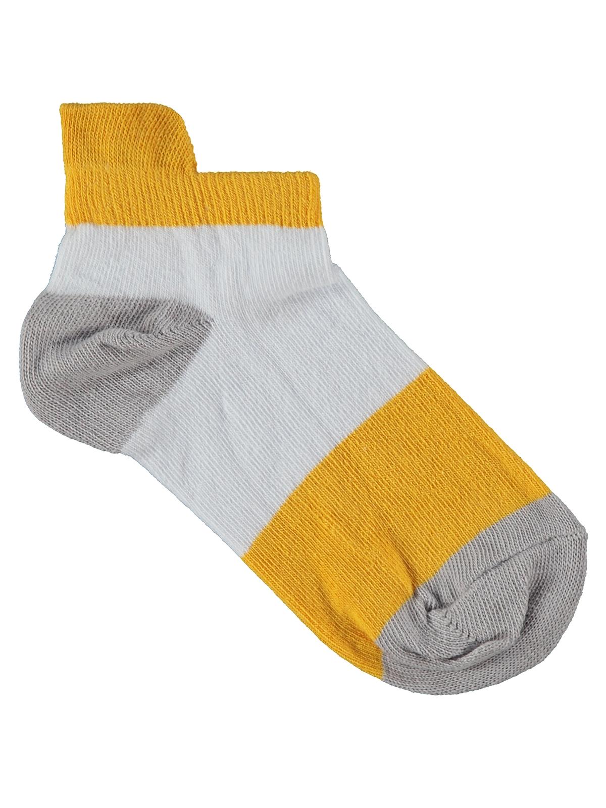 Civil Boys Basic Clours 3'lü 2-12 Yaş Erkek Çocuk Patik Çorap
