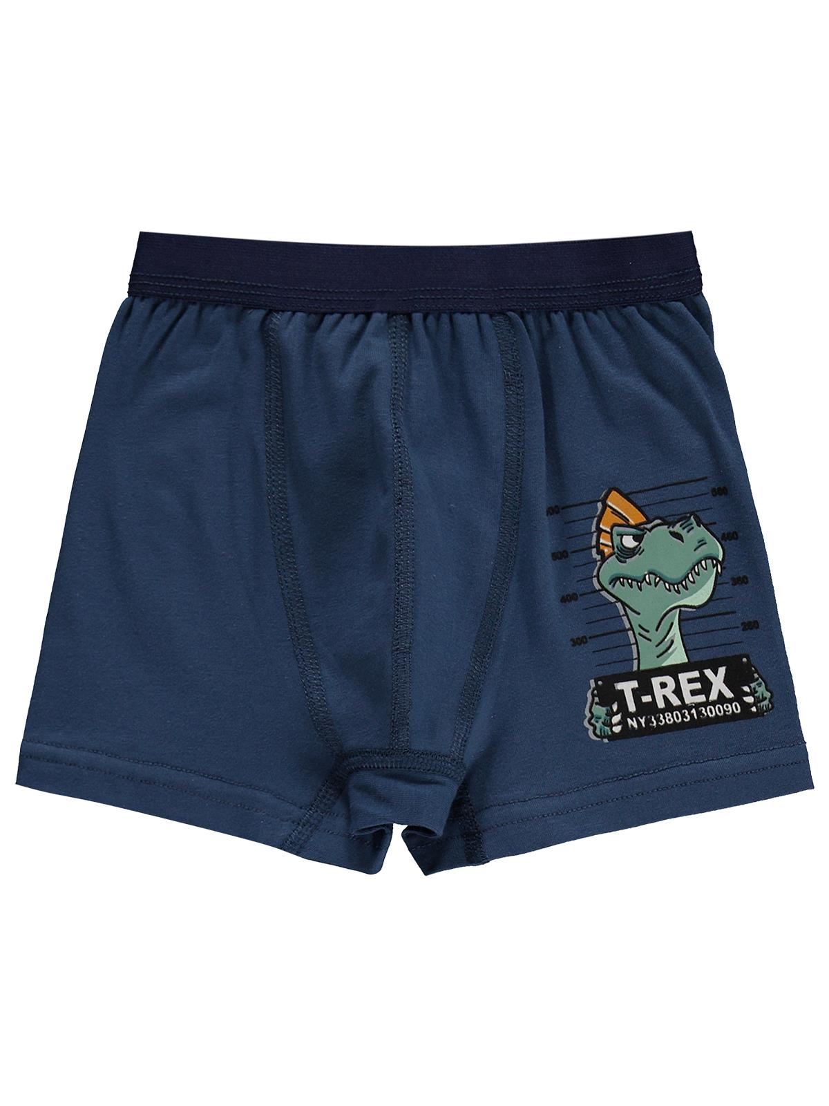 Civil Boys Trex 2-12 Yaş Erkek Çocuk 2'li Boxer