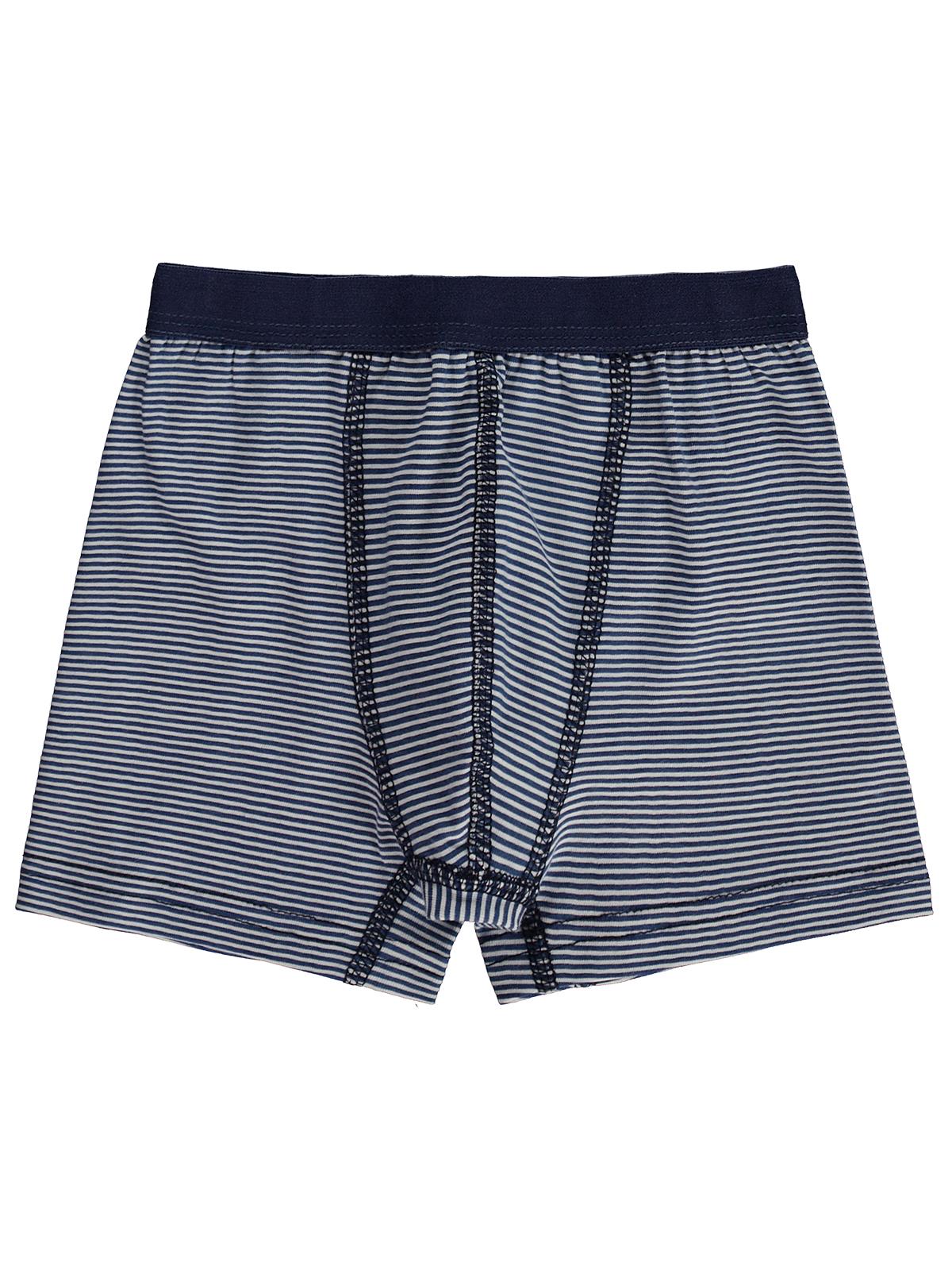 Civil Boys Trex 2-12 Yaş Erkek Çocuk 2'li Boxer