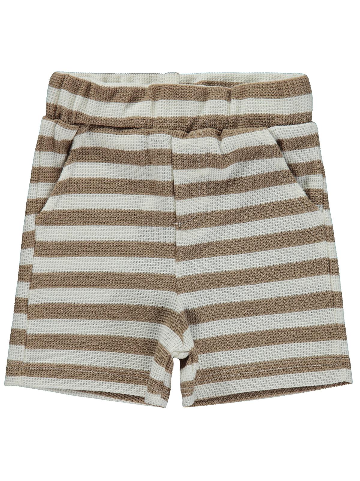 Civil Baby Çizgili 6-18 Ay Şort - Kahve