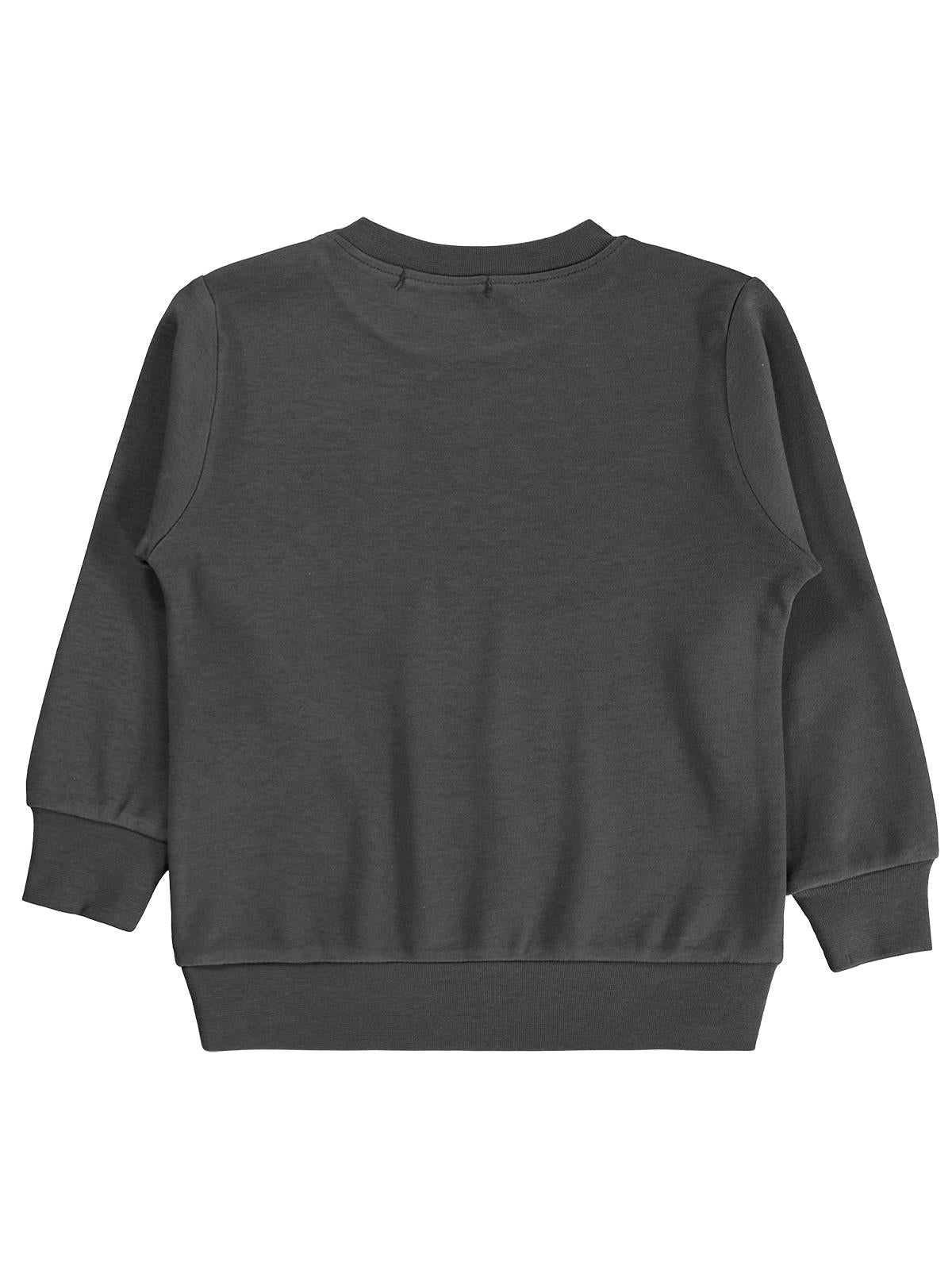 Civil Boys Certıfıed Baskılı 2-5 Yaş Sweatshirt - Gri