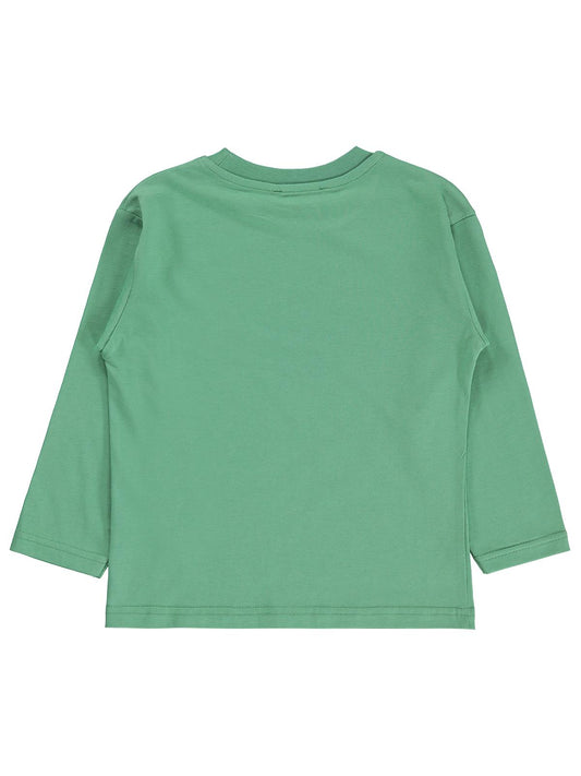 Silversun Timsah Baskılı 2-7 Yaş Sweatshirt - Yeşil