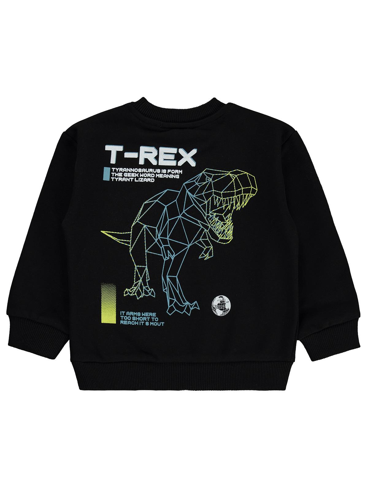 Silversun T-REX Dinozor Baskılı 2-7 Yaş Sweatshirt - Siyah