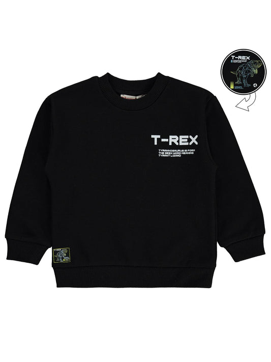 Silversun T-REX Dinozor Baskılı 2-7 Yaş Sweatshirt - Siyah