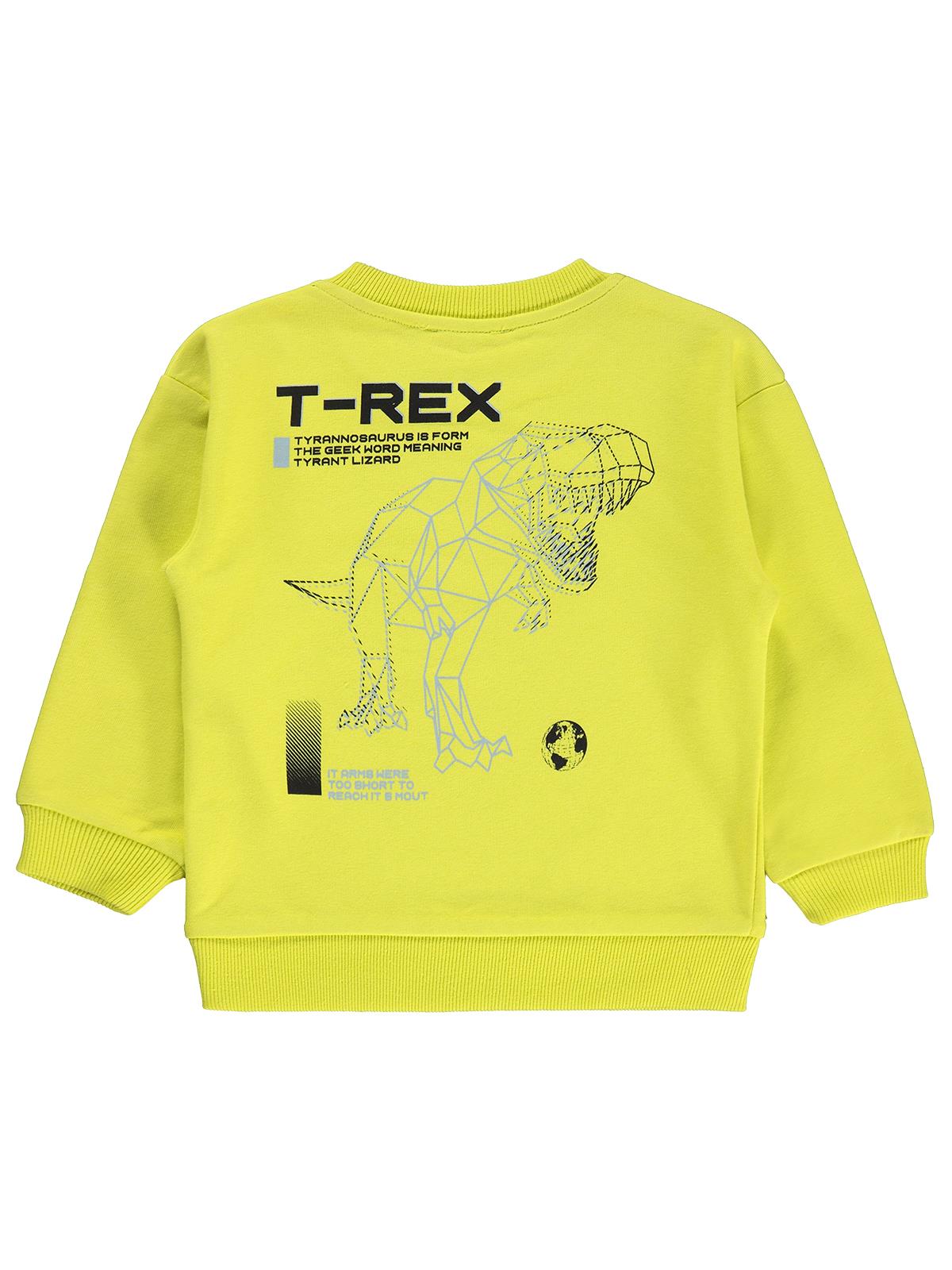 Silversun T-REX Dinozor Baskılı 2-7 Yaş Sweatshirt - Yeşil
