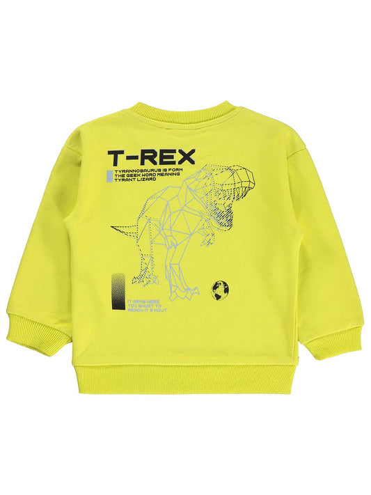 Silversun T-REX Dinozor Baskılı 2-7 Yaş Sweatshirt - Yeşil