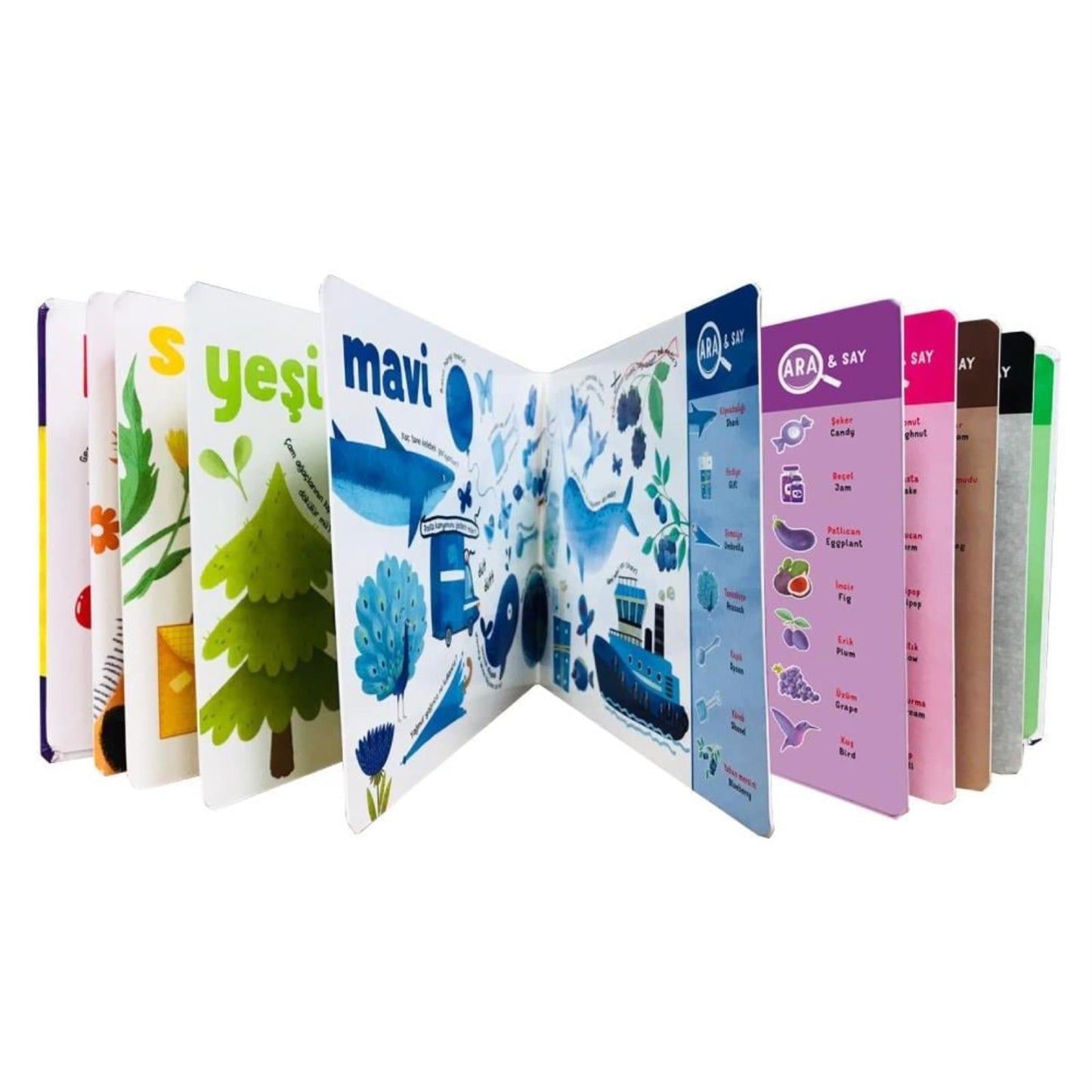 Yükselen Zeka İlk Etkinlik Setim 12-36 Ay